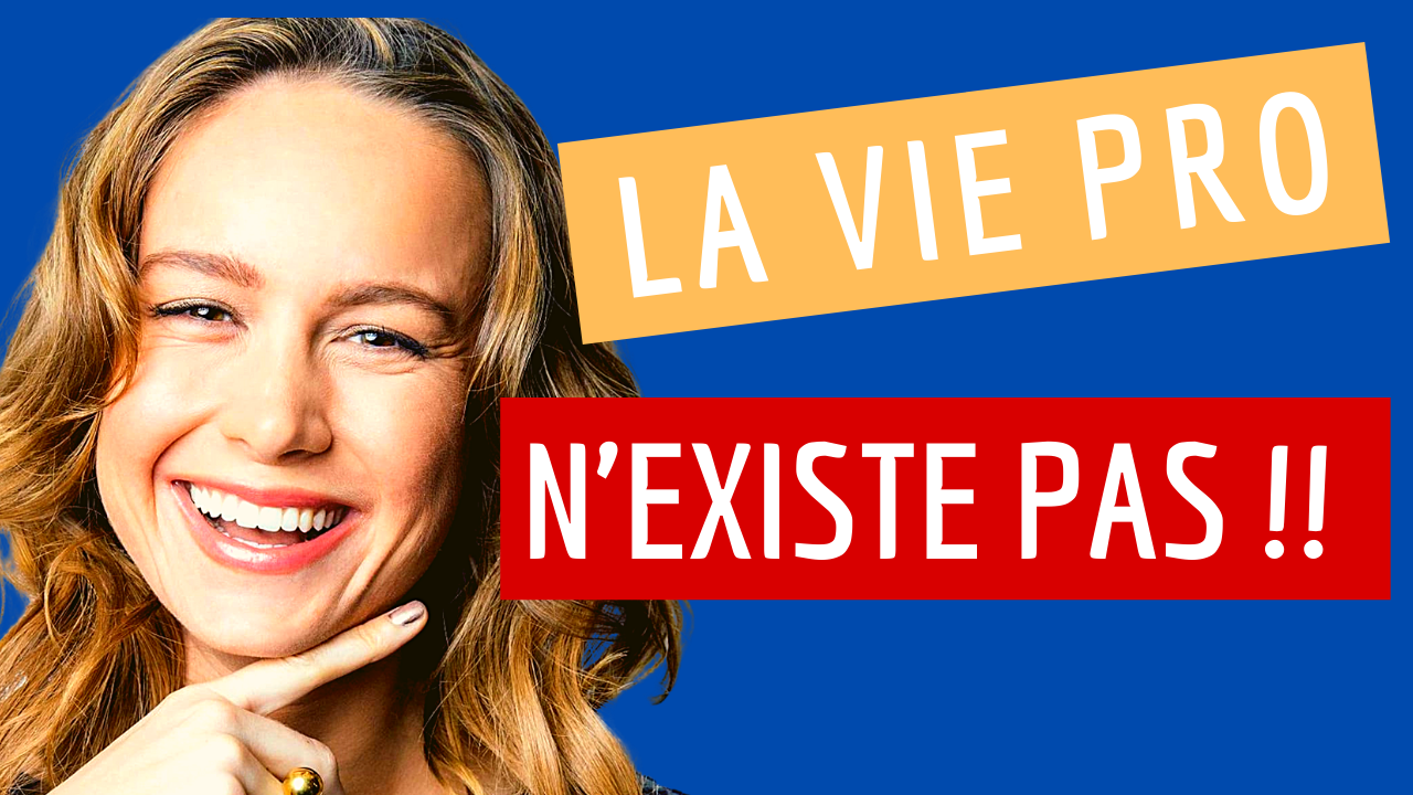 La vie professionnelle n’existe pas